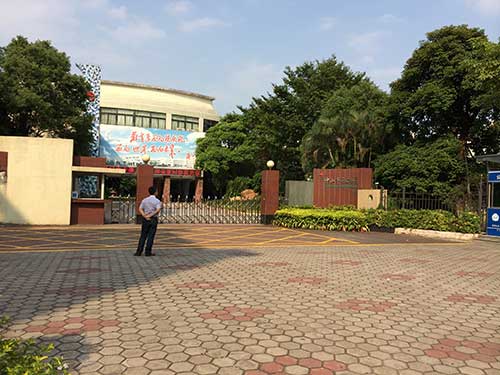 中山实验小学虫害防治案例