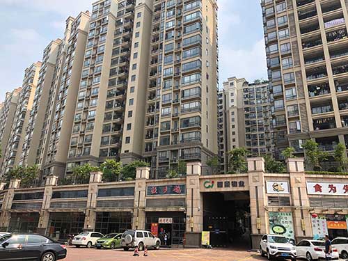 丽景名筑小区虫害防治案例