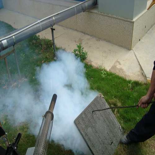 综合体虫害防治服务