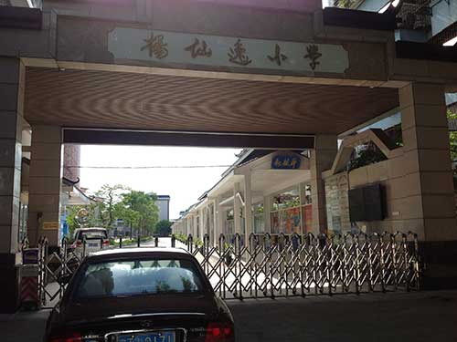 杨仙逸小学虫害防治案例