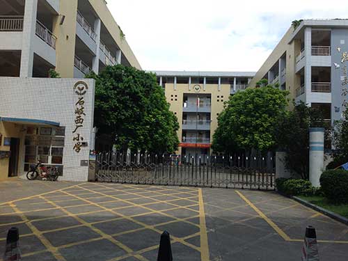 西厂小学虫害防治案例