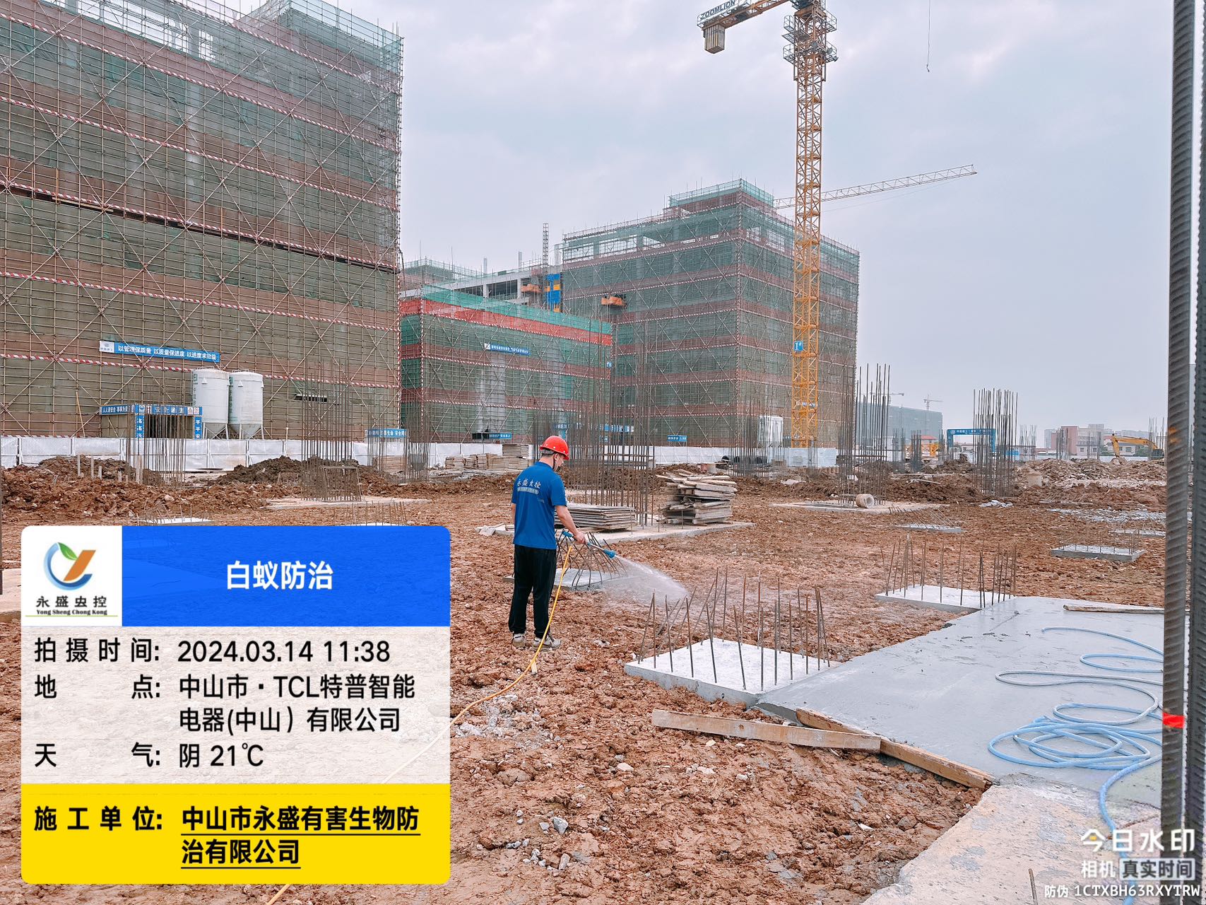 TCL特普电器有限公司白蚁防治