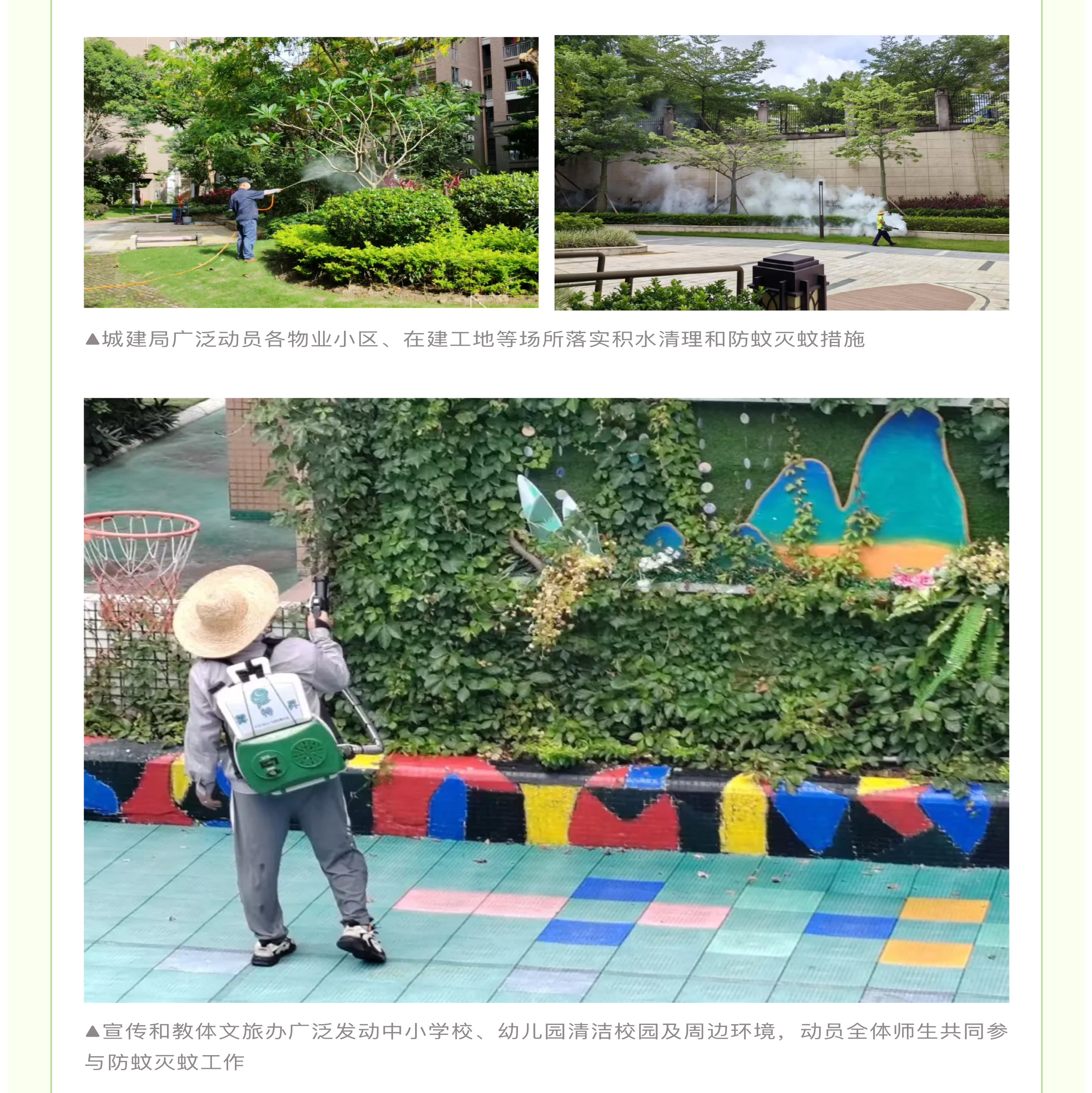 “百千万”引领·爱卫同行-_-全民出击！东区街道打响登革热防控攻坚战_07