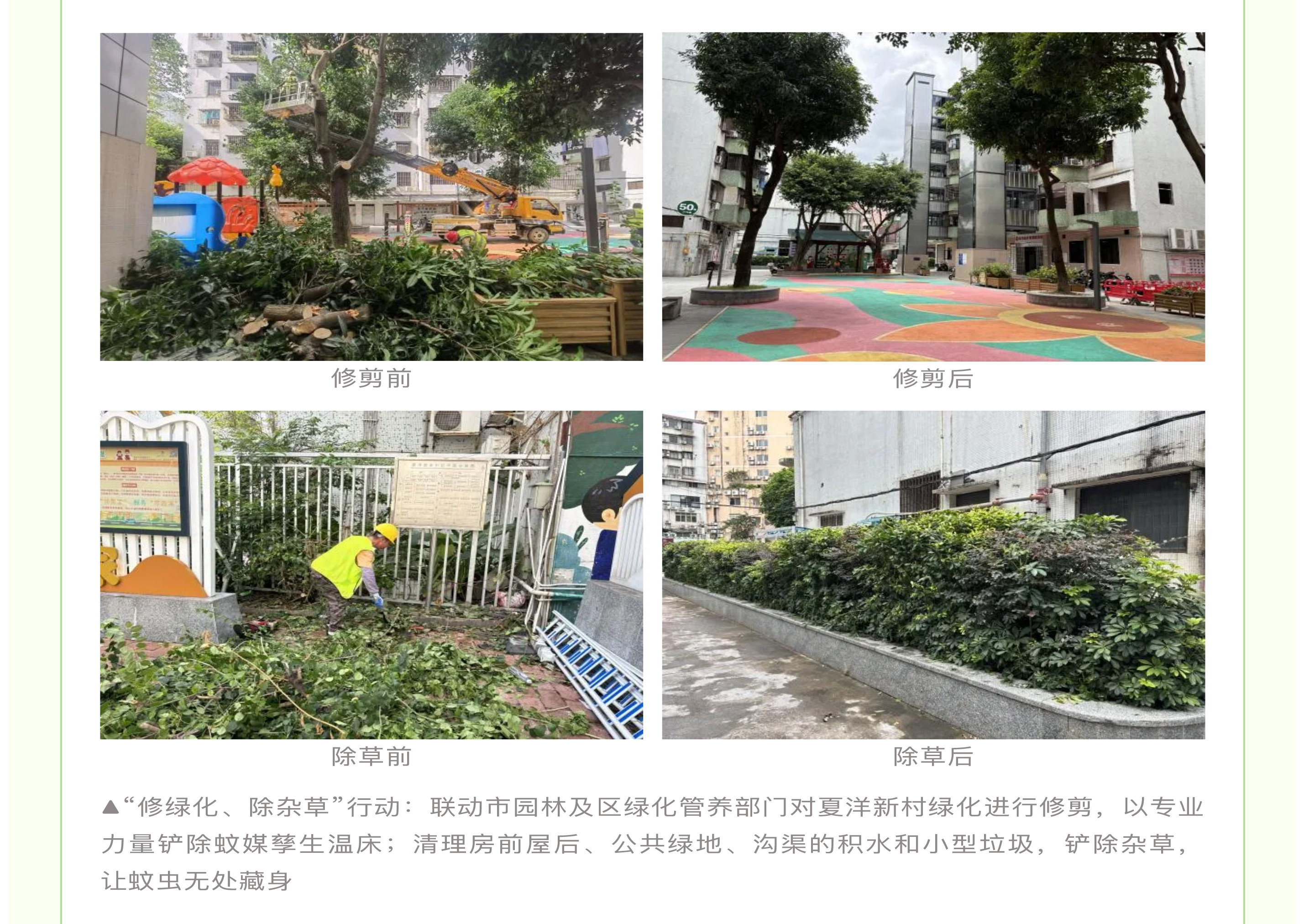 “百千万”引领·爱卫同行-_-全民出击！东区街道打响登革热防控攻坚战_05