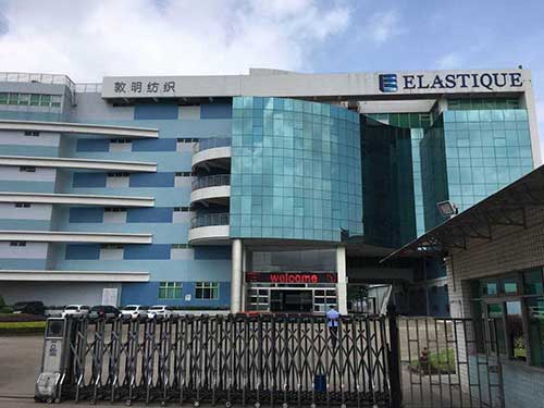 敦明纺织白蚁防治效果展示