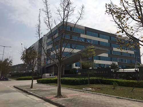 广东乐心医疗电子股份有限公司白蚁防治效果展示