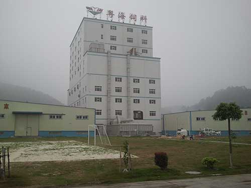 江门粤海饲料有限公司白蚁防治效果展示