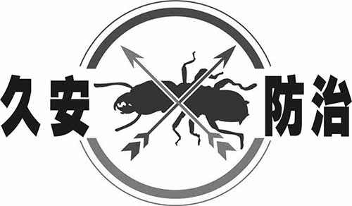 新房装修时需要做好白蚁防治工作