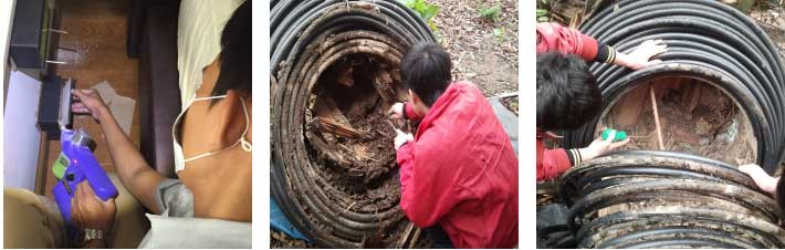 永盛虫控专业人士正在进行白蚁检测