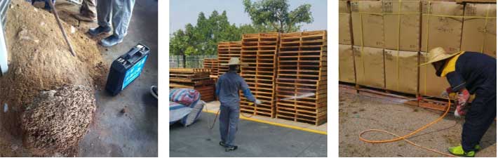 永盛虫控专业人士正在进行白蚁灭杀活动