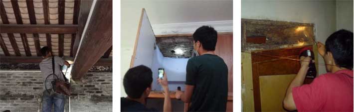 室内白蚁危害检测