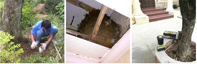 永盛虫控正在引诱白蚁，进行灭杀