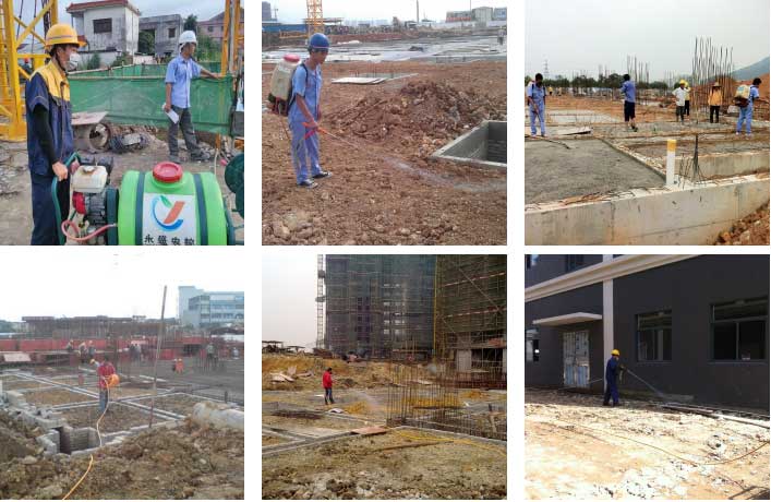 工地白蚁防治进行现场图