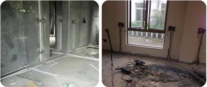 电线/管道白蚁防治