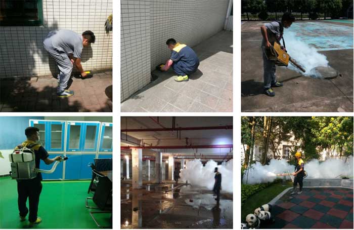 永盛虫控专业人士除四害施工现场图2