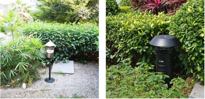 永盛虫控专业人士户外灭蝇现场施工图1