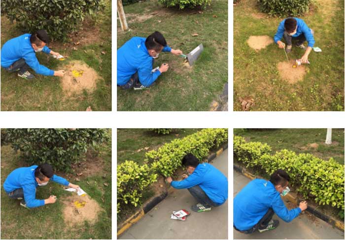 红火蚁防治施工图