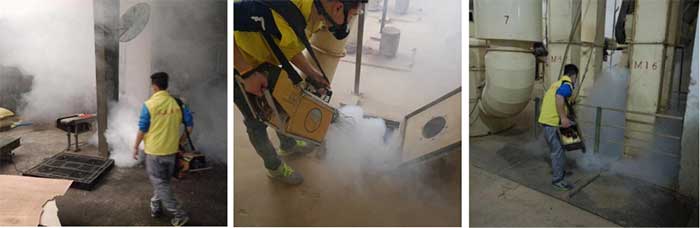 永盛虫控室内虫害烟熏处理施工图1