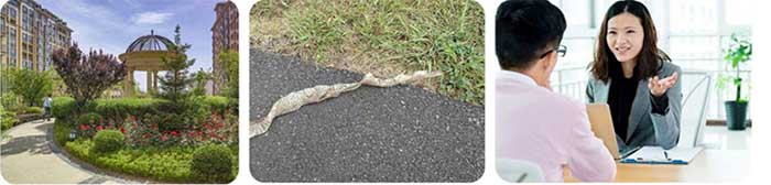 蛇类综合防治服务之现场环境检查及访谈