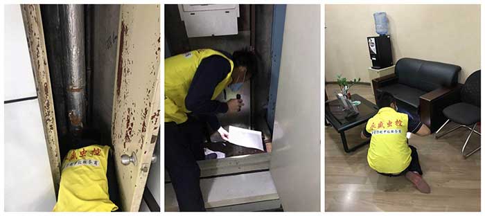 银行老鼠虫害防治施工现场图