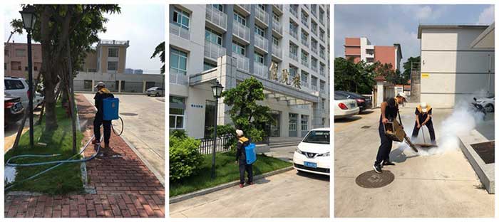 医院虫害防治施工现场图