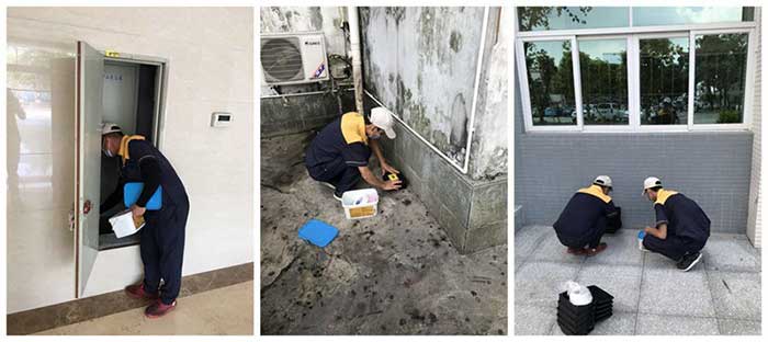 医院虫害防治施工现场图1