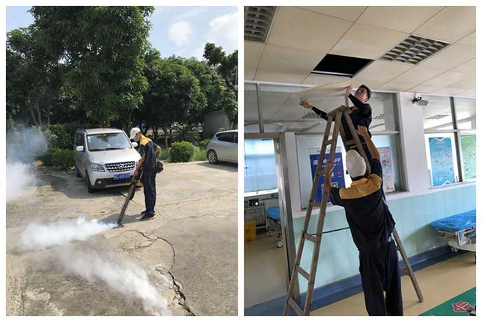 医院虫害防治施工现场图3