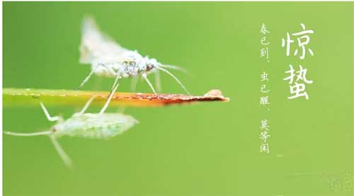 春天已到，需要做好虫害防治工作