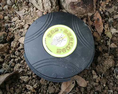 在进行白蚁防治之前，需要先做好白蚁检测工作