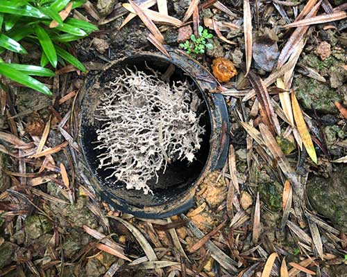 白蚁检测设备施工图