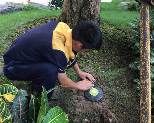 永盛技术人员正在安装白蚁检测设备