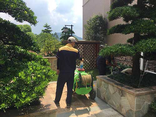 永盛技术人员白蚁防治灭杀现场施工