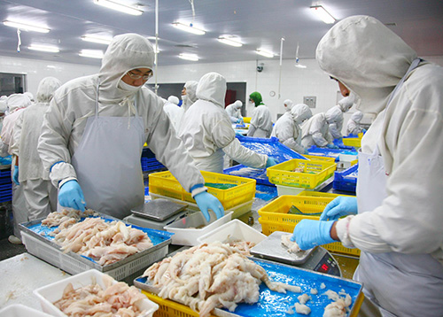 应用于食品加工行业的虫害防治施工服务