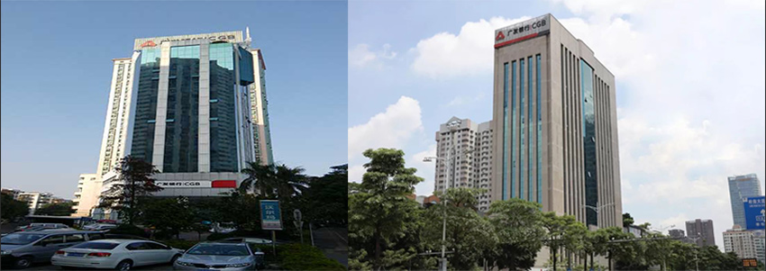 广发大夏虫害防治