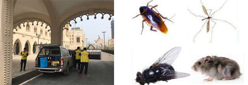 横琴劢俊广场虫害防治施工图