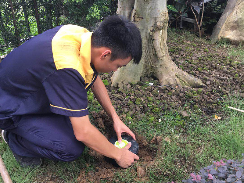 永盛白蚁防治施工现场图