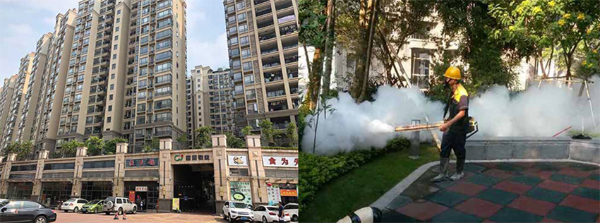 丽景名筑小区虫害防治施工