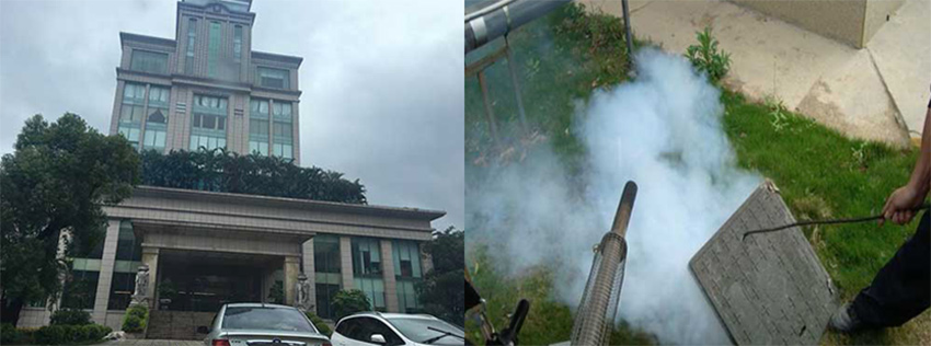 侨发集团虫害防治施工