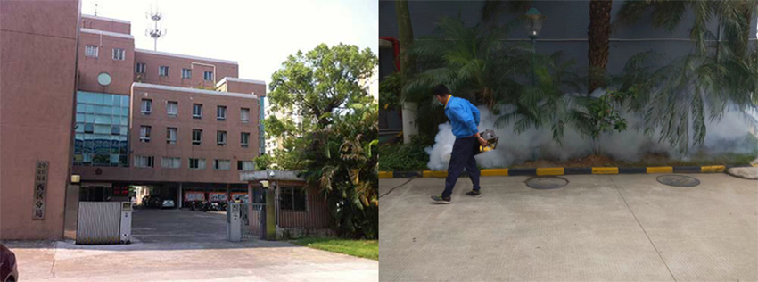 西区公安分局虫害防治施工