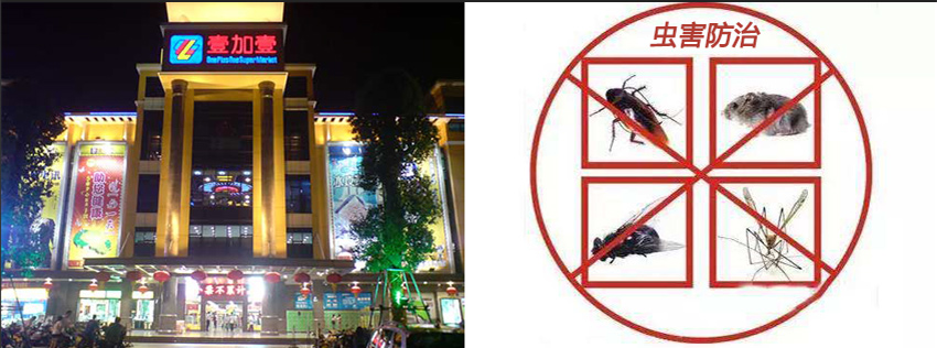 壹加壹连锁商场虫害防治施工
