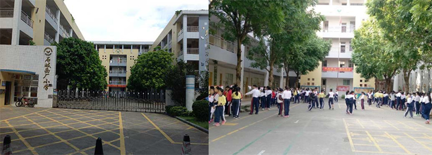 中山石歧西厂小学虫害防治施工