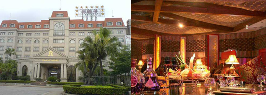 三角真善美大酒店虫害防治施工