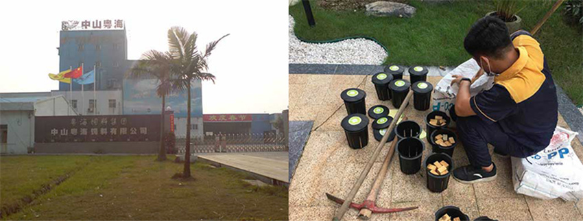 中山粤海饲料有限公司白蚁防治施工服务