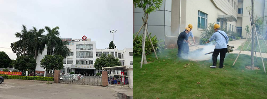 中山三角医院虫害防治施工服务