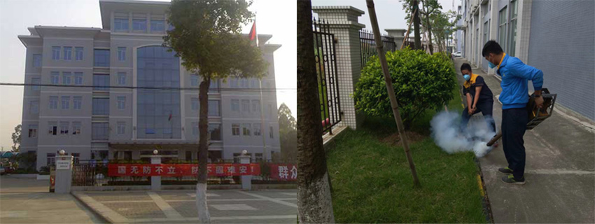 中山三角税务局虫害防治施工服务