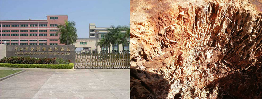 中山合兴织造印染有限公司白蚁防治施工