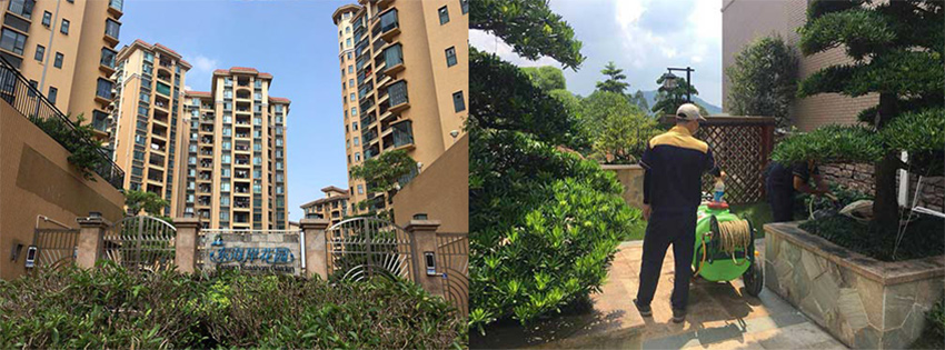 东海岸花园白蚁防治施工