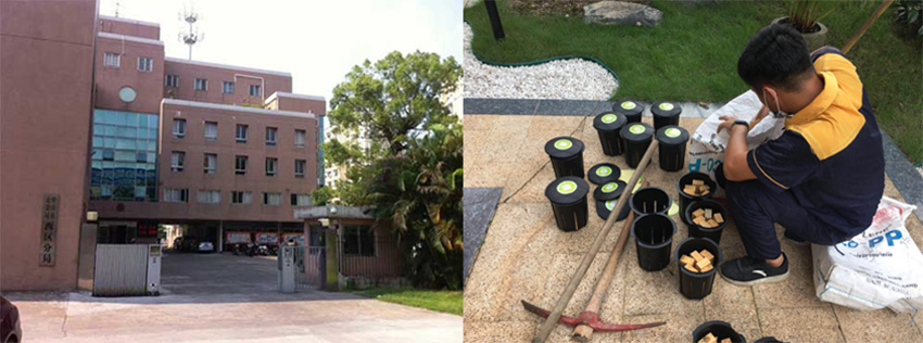 公安局西区分局白蚁防治施工