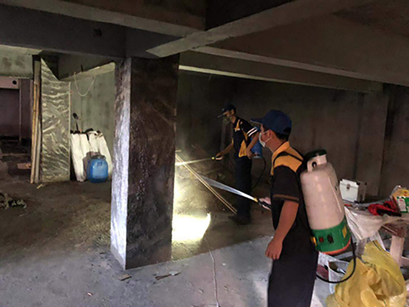 中山灭白蚁服务现场施工图1