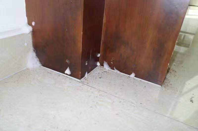 中山白蚁防治服务施工现场图1